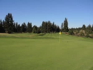 Stone Creek golf