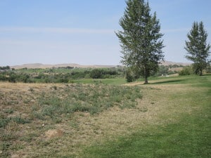 Country View golf