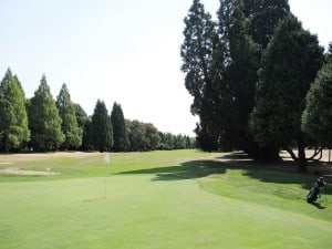 Eastmoreland golf