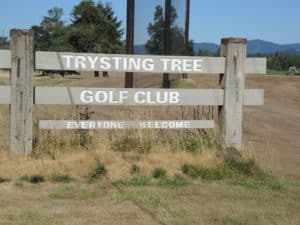 Trysting Tree golf