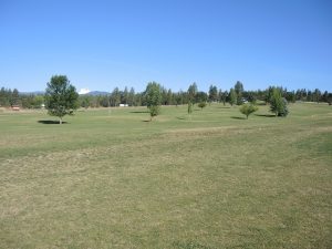 Pine Meadows golf